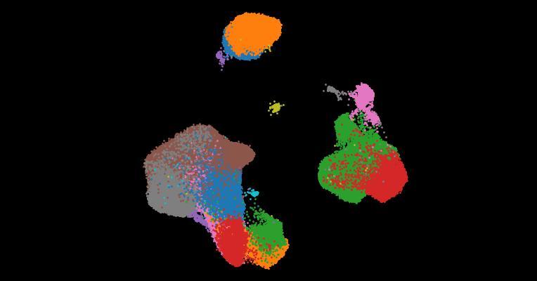 A single-cell cytokine dictionary of human peripheral blood