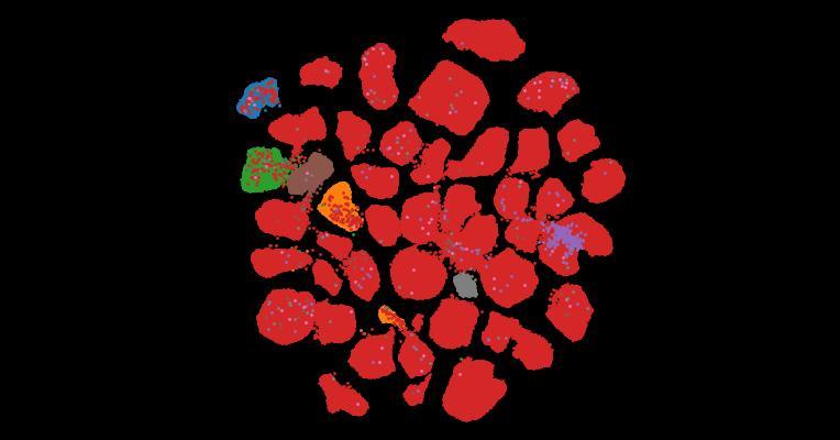 Tahoe-100M: A Giga-Scale Single-Cell Perturbation Atlas for Context-Dependent Gene Function and Cellular Modeling