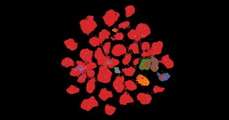 Tahoe-100M: A Giga-Scale Single-Cell Perturbation Atlas for Context-Dependent Gene Function and Cellular Modeling
