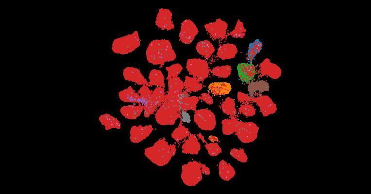 Tahoe-100M: A Giga-Scale Single-Cell Perturbation Atlas for Context-Dependent Gene Function and Cellular Modeling