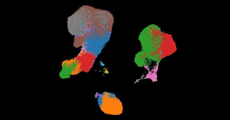 A single-cell cytokine dictionary of human peripheral blood