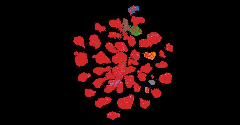 Tahoe-100M: A Giga-Scale Single-Cell Perturbation Atlas for Context-Dependent Gene Function and Cellular Modeling