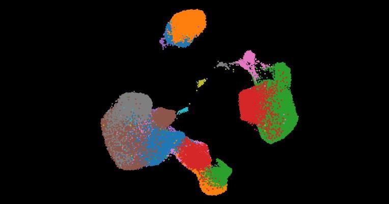 A single-cell cytokine dictionary of human peripheral blood