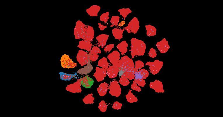 Tahoe-100M: A Giga-Scale Single-Cell Perturbation Atlas for Context-Dependent Gene Function and Cellular Modeling
