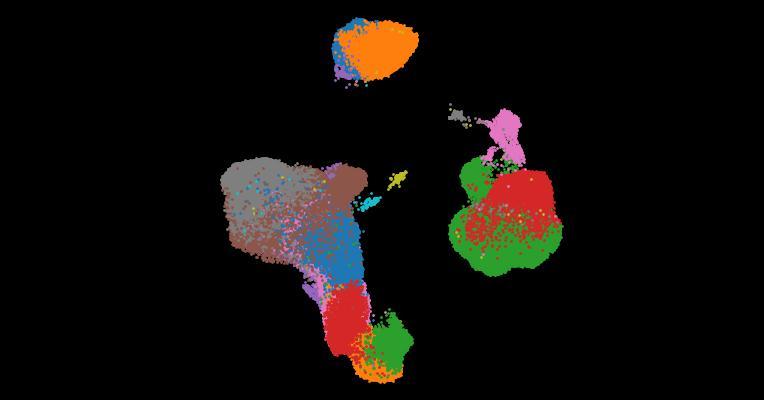 A single-cell cytokine dictionary of human peripheral blood