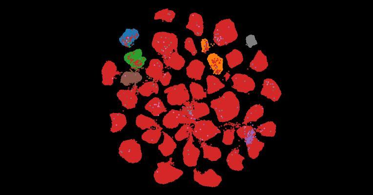 Tahoe-100M: A Giga-Scale Single-Cell Perturbation Atlas for Context-Dependent Gene Function and Cellular Modeling