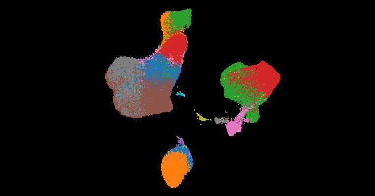 A single-cell cytokine dictionary of human peripheral blood