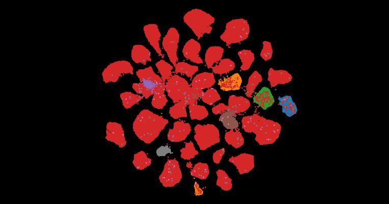 Tahoe-100M: A Giga-Scale Single-Cell Perturbation Atlas for Context-Dependent Gene Function and Cellular Modeling