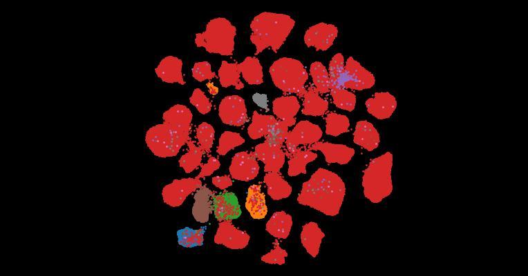 Tahoe-100M: A Giga-Scale Single-Cell Perturbation Atlas for Context-Dependent Gene Function and Cellular Modeling