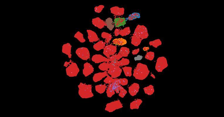 Tahoe-100M: A Giga-Scale Single-Cell Perturbation Atlas for Context-Dependent Gene Function and Cellular Modeling