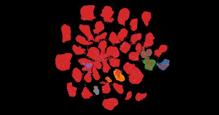 Tahoe-100M: A Giga-Scale Single-Cell Perturbation Atlas for Context-Dependent Gene Function and Cellular Modeling