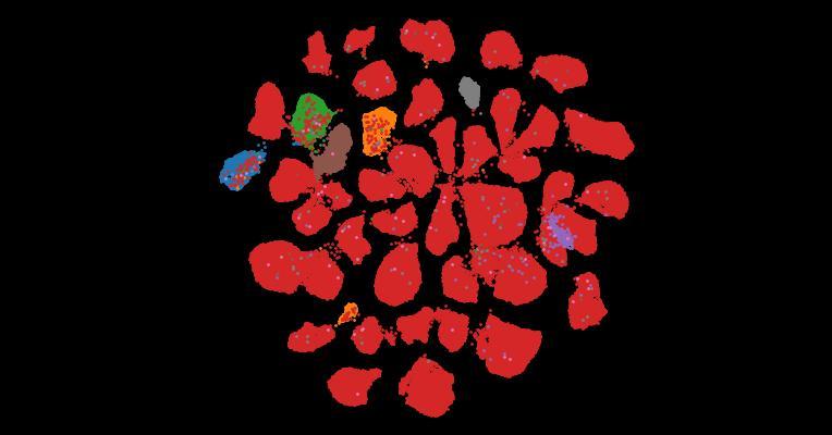 Tahoe-100M: A Giga-Scale Single-Cell Perturbation Atlas for Context-Dependent Gene Function and Cellular Modeling