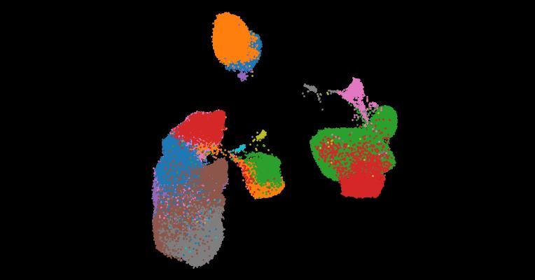 A single-cell cytokine dictionary of human peripheral blood