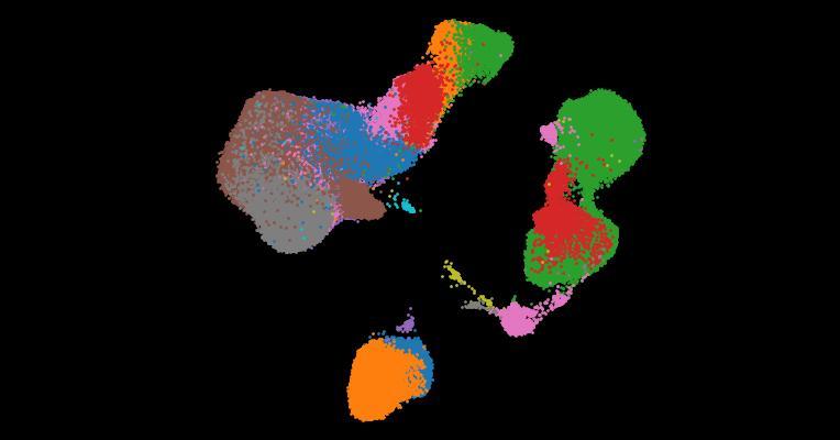 A single-cell cytokine dictionary of human peripheral blood