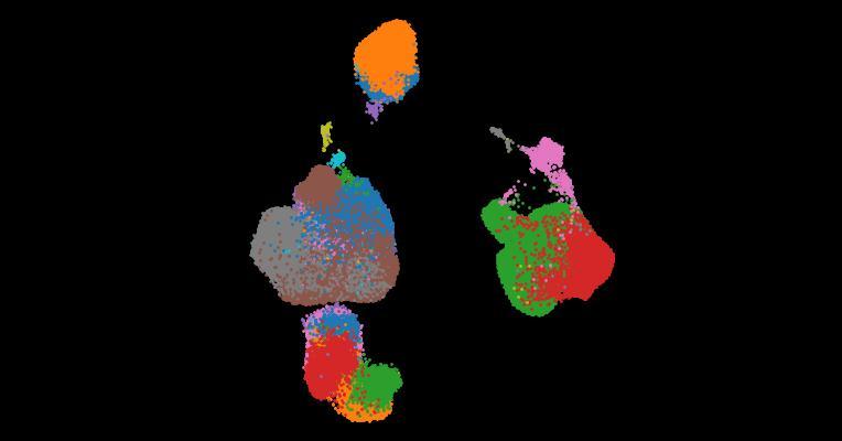 A single-cell cytokine dictionary of human peripheral blood