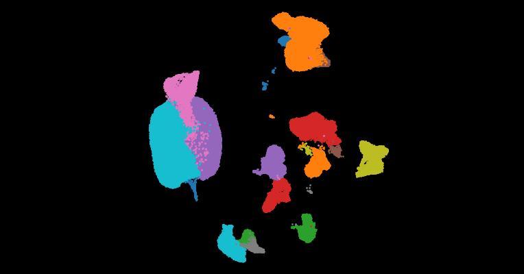 Automatic cell-type harmonization and integration across Human Cell Atlas datasets