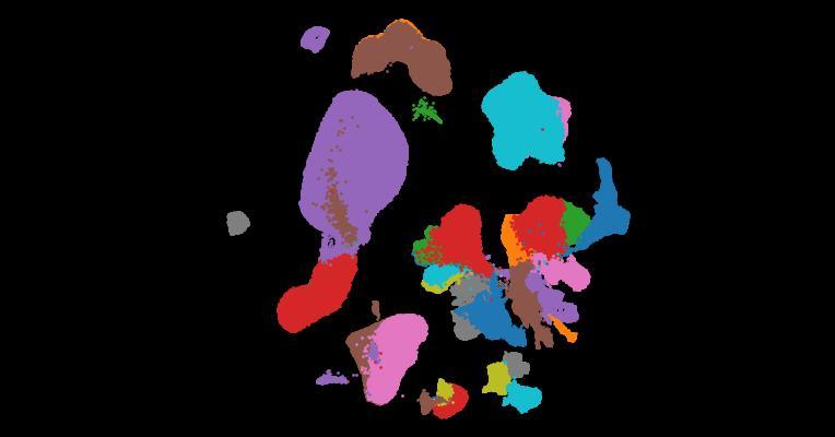 Automatic cell-type harmonization and integration across Human Cell Atlas datasets