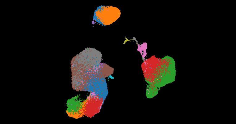 A single-cell cytokine dictionary of human peripheral blood