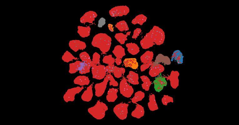 Tahoe-100M: A Giga-Scale Single-Cell Perturbation Atlas for Context-Dependent Gene Function and Cellular Modeling
