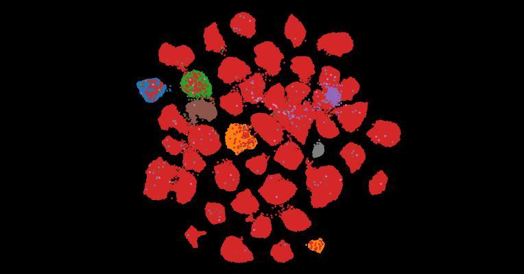 Tahoe-100M: A Giga-Scale Single-Cell Perturbation Atlas for Context-Dependent Gene Function and Cellular Modeling
