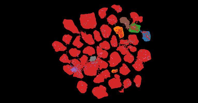Tahoe-100M: A Giga-Scale Single-Cell Perturbation Atlas for Context-Dependent Gene Function and Cellular Modeling