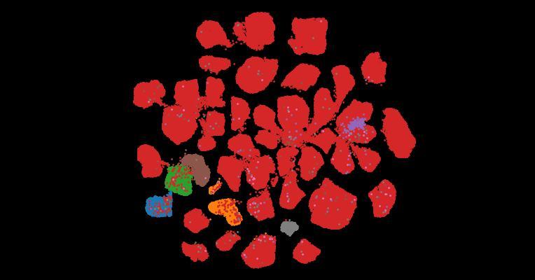 Tahoe-100M: A Giga-Scale Single-Cell Perturbation Atlas for Context-Dependent Gene Function and Cellular Modeling