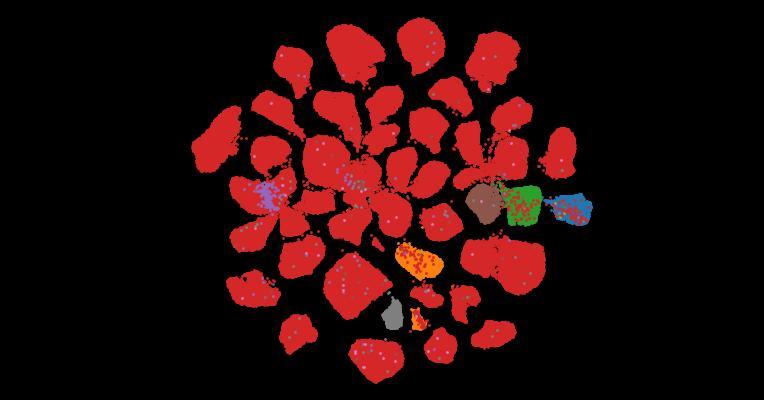 Tahoe-100M: A Giga-Scale Single-Cell Perturbation Atlas for Context-Dependent Gene Function and Cellular Modeling