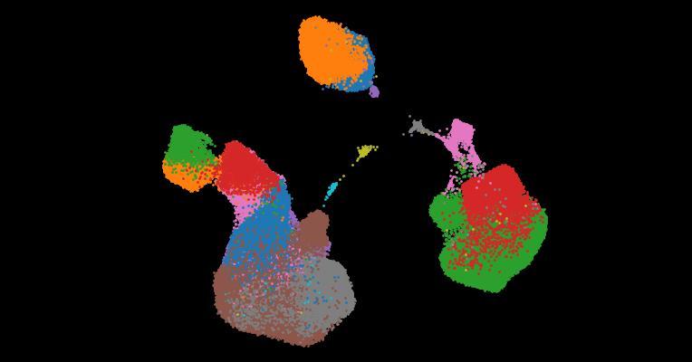 A single-cell cytokine dictionary of human peripheral blood