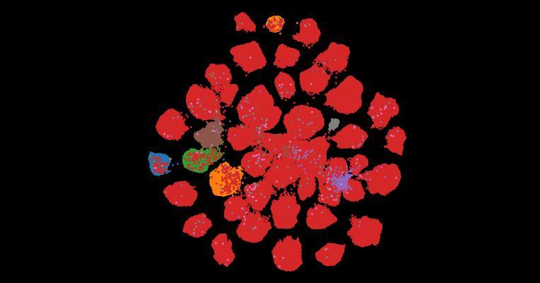 Tahoe-100M: A Giga-Scale Single-Cell Perturbation Atlas for Context-Dependent Gene Function and Cellular Modeling