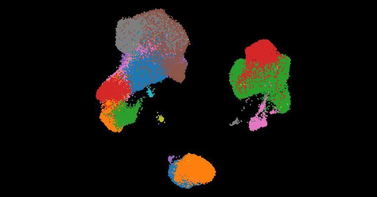 A single-cell cytokine dictionary of human peripheral blood