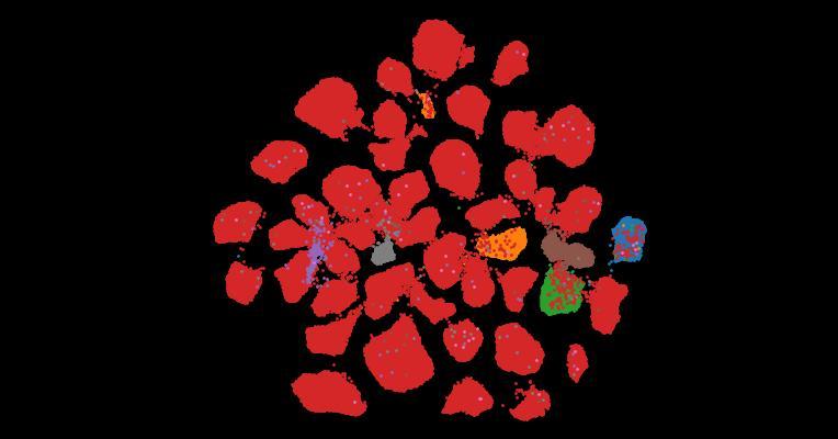 Tahoe-100M: A Giga-Scale Single-Cell Perturbation Atlas for Context-Dependent Gene Function and Cellular Modeling