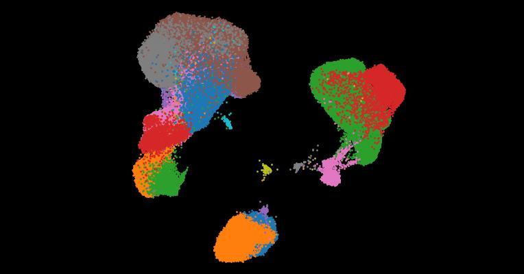 A single-cell cytokine dictionary of human peripheral blood