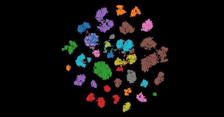 The GTEx Consortium atlas of genetic regulatory effects across human tissues