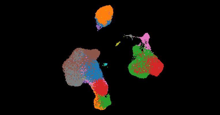 A single-cell cytokine dictionary of human peripheral blood