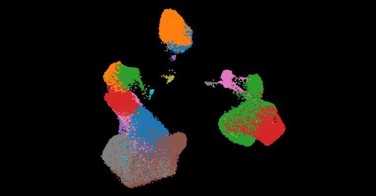 A single-cell cytokine dictionary of human peripheral blood