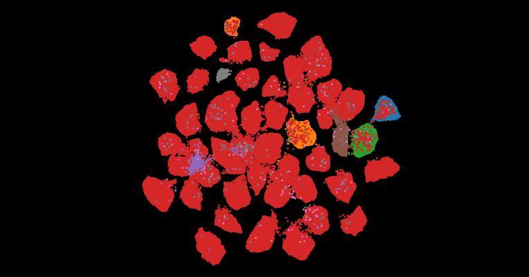 Tahoe-100M: A Giga-Scale Single-Cell Perturbation Atlas for Context-Dependent Gene Function and Cellular Modeling