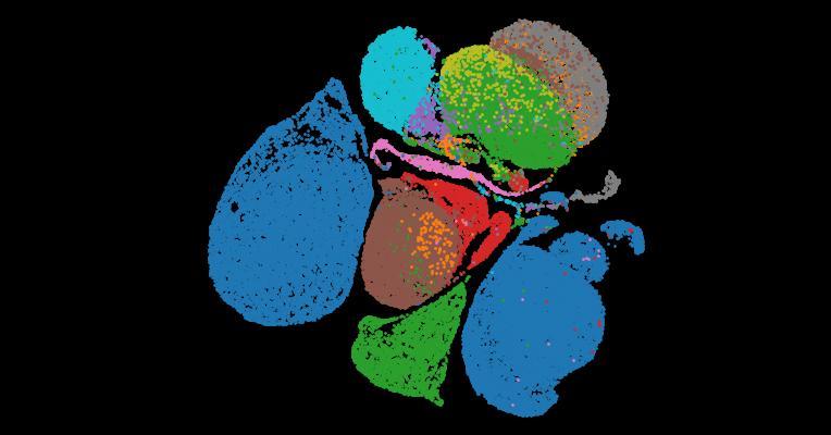 Tabula Sapiens 2.0: A comprehensive transcriptomic atlas of human cell types