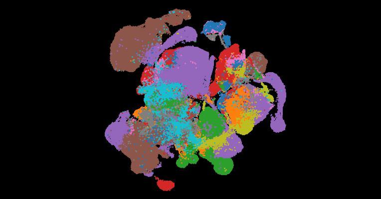 Tabula Sapiens 2.0: A comprehensive transcriptomic atlas of human cell types
