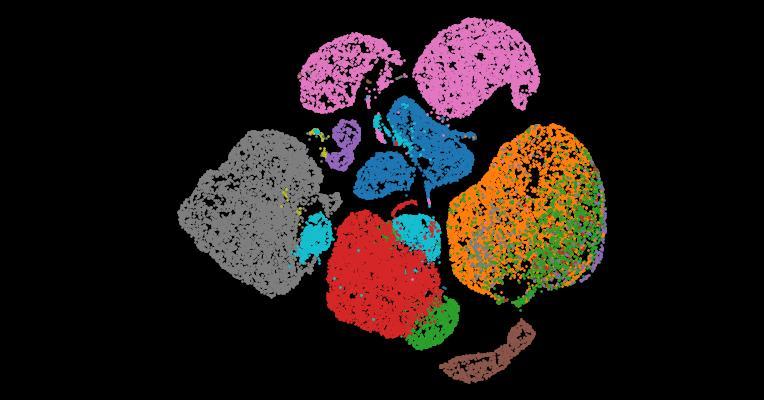 Tabula Sapiens 2.0: A comprehensive transcriptomic atlas of human cell types