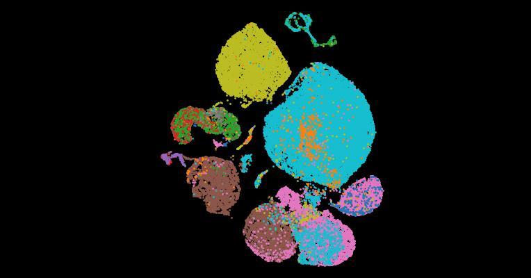 Tabula Sapiens 2.0: A comprehensive transcriptomic atlas of human cell types
