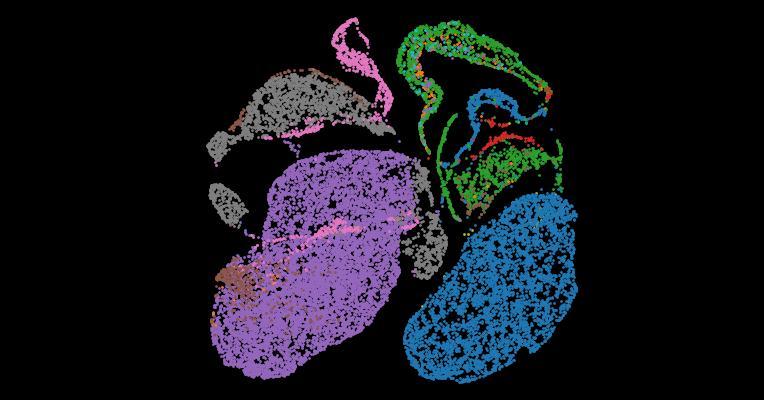 Tabula Sapiens 2.0: A comprehensive transcriptomic atlas of human cell types