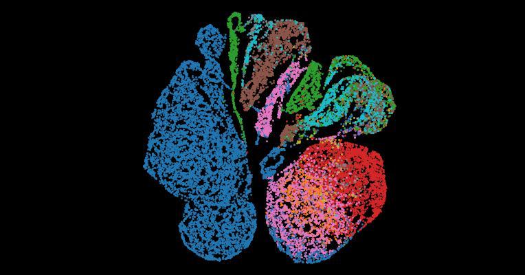 Tabula Sapiens 2.0: A comprehensive transcriptomic atlas of human cell types