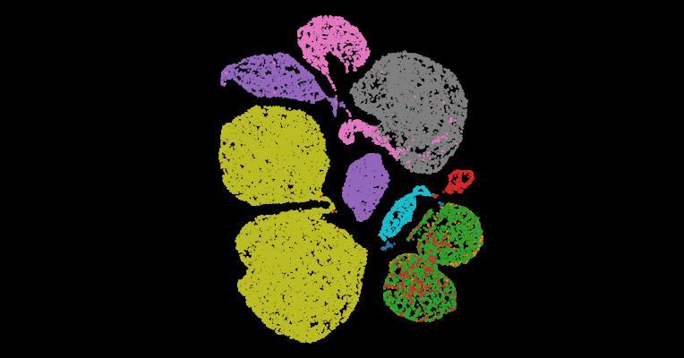 Tabula Sapiens 2.0: A comprehensive transcriptomic atlas of human cell types
