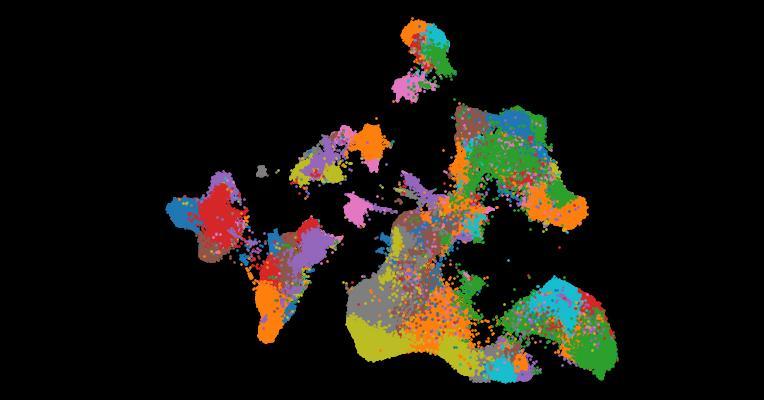 An atlas of healthy and injured cell states and niches in the human kidney