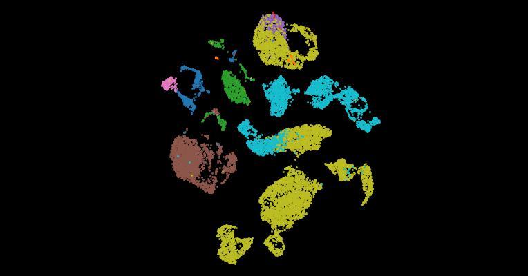 Tabula Sapiens 2.0: A comprehensive transcriptomic atlas of human cell types