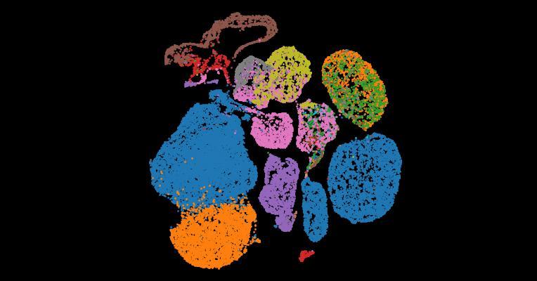 Tabula Sapiens 2.0: A comprehensive transcriptomic atlas of human cell types