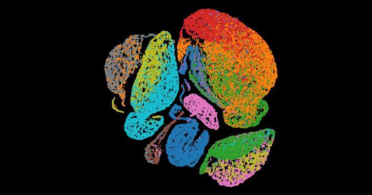 Tabula Sapiens 2.0: A comprehensive transcriptomic atlas of human cell types