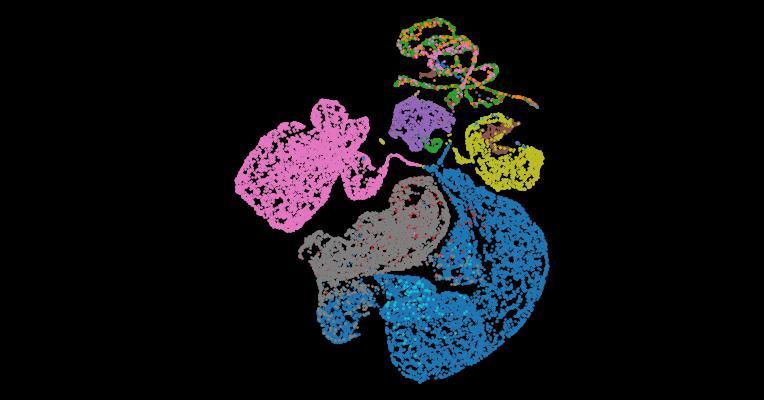 Tabula Sapiens 2.0: A comprehensive transcriptomic atlas of human cell types