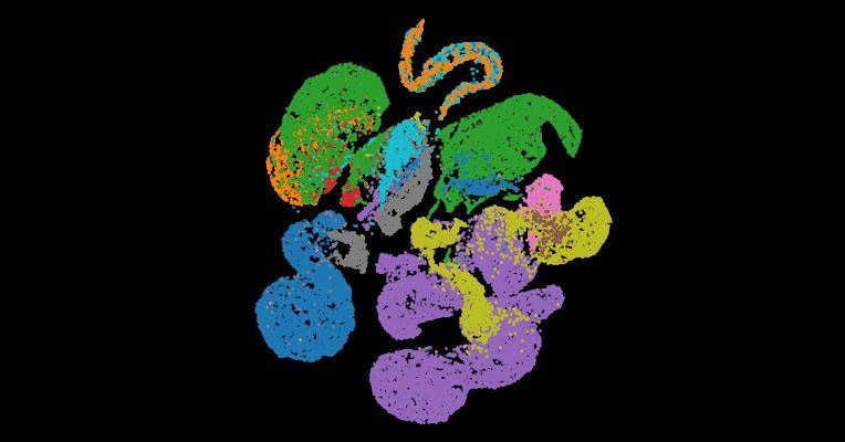 Tabula Sapiens 2.0: A comprehensive transcriptomic atlas of human cell types