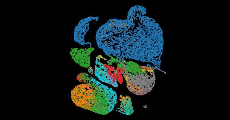 Tabula Sapiens 2.0: A comprehensive transcriptomic atlas of human cell types